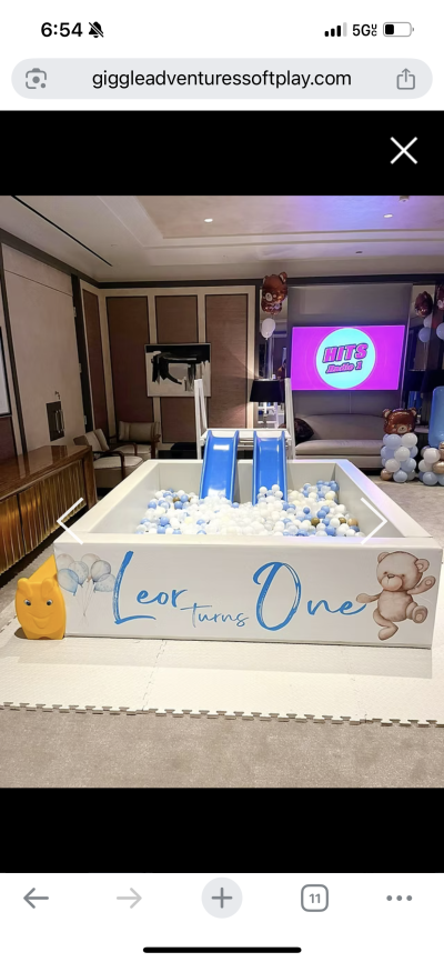 Posh (7ft x 7ft) Ball Pit rental