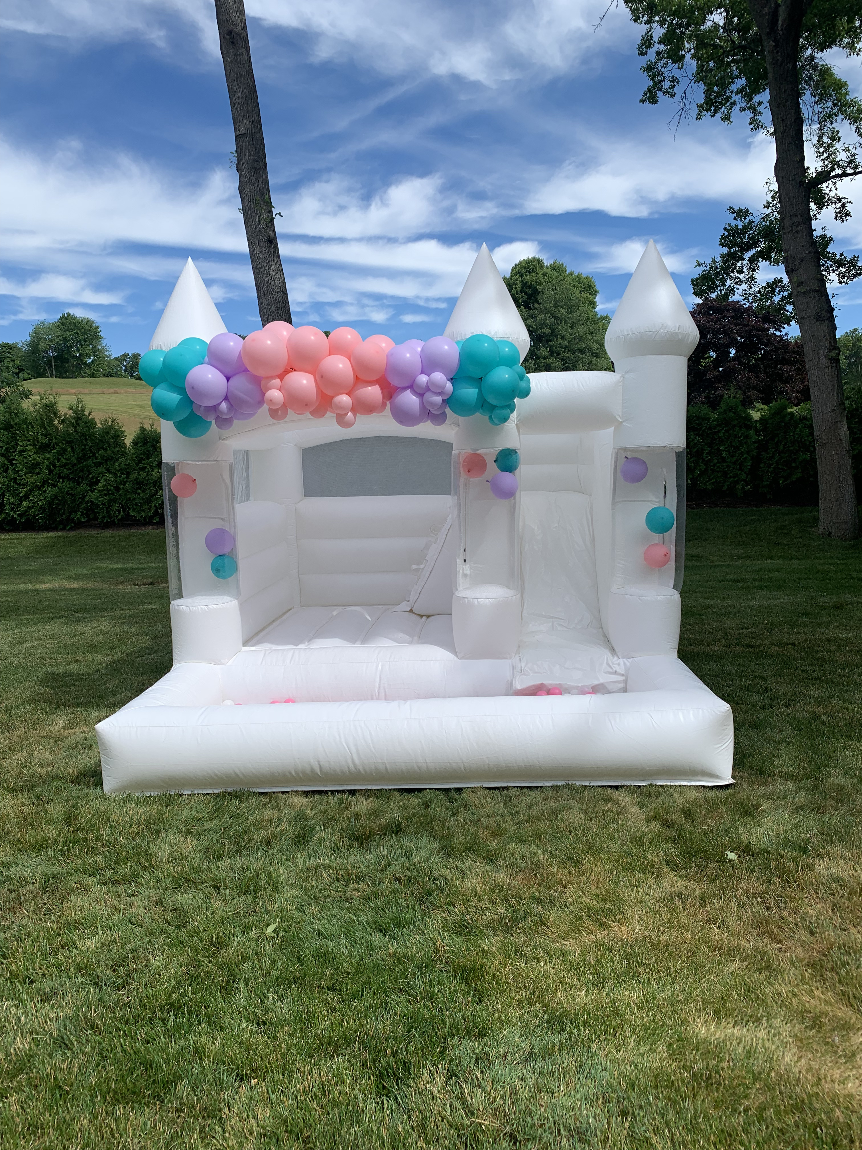 Snowball Bounce House rental