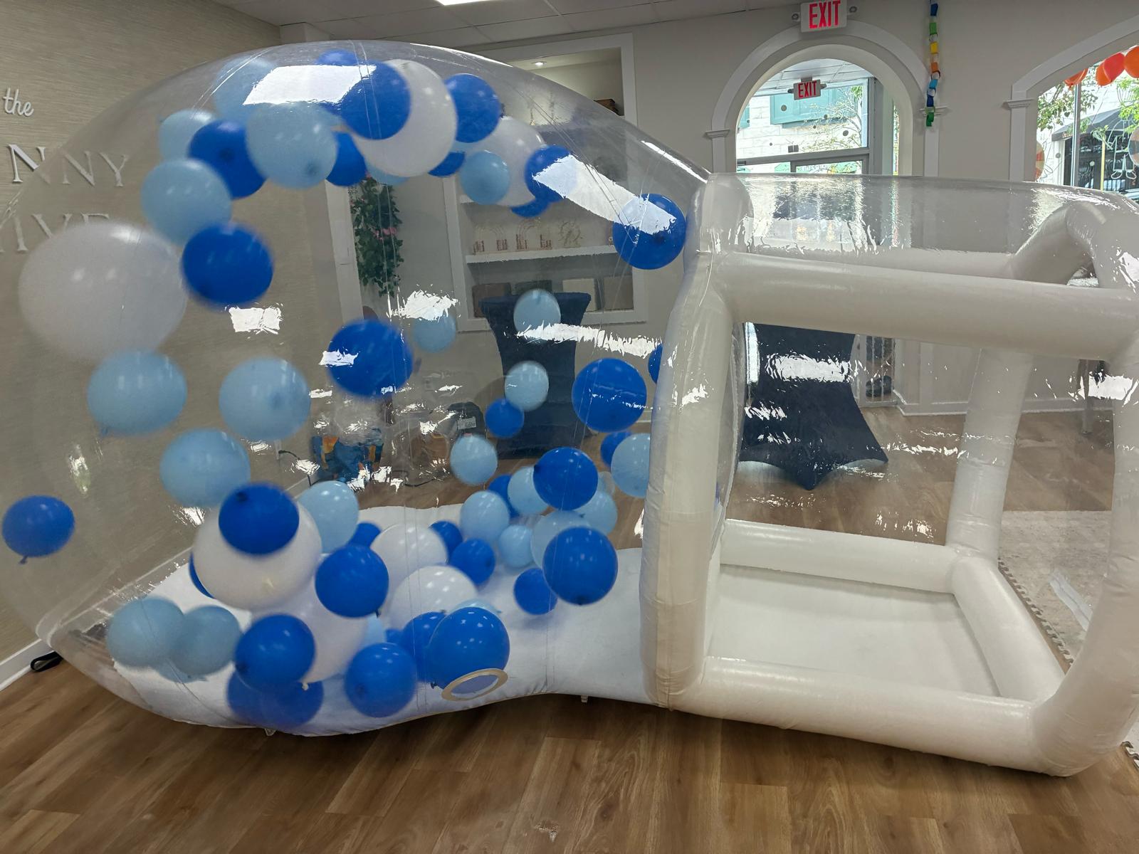 Bubble Dome Bounce House rental