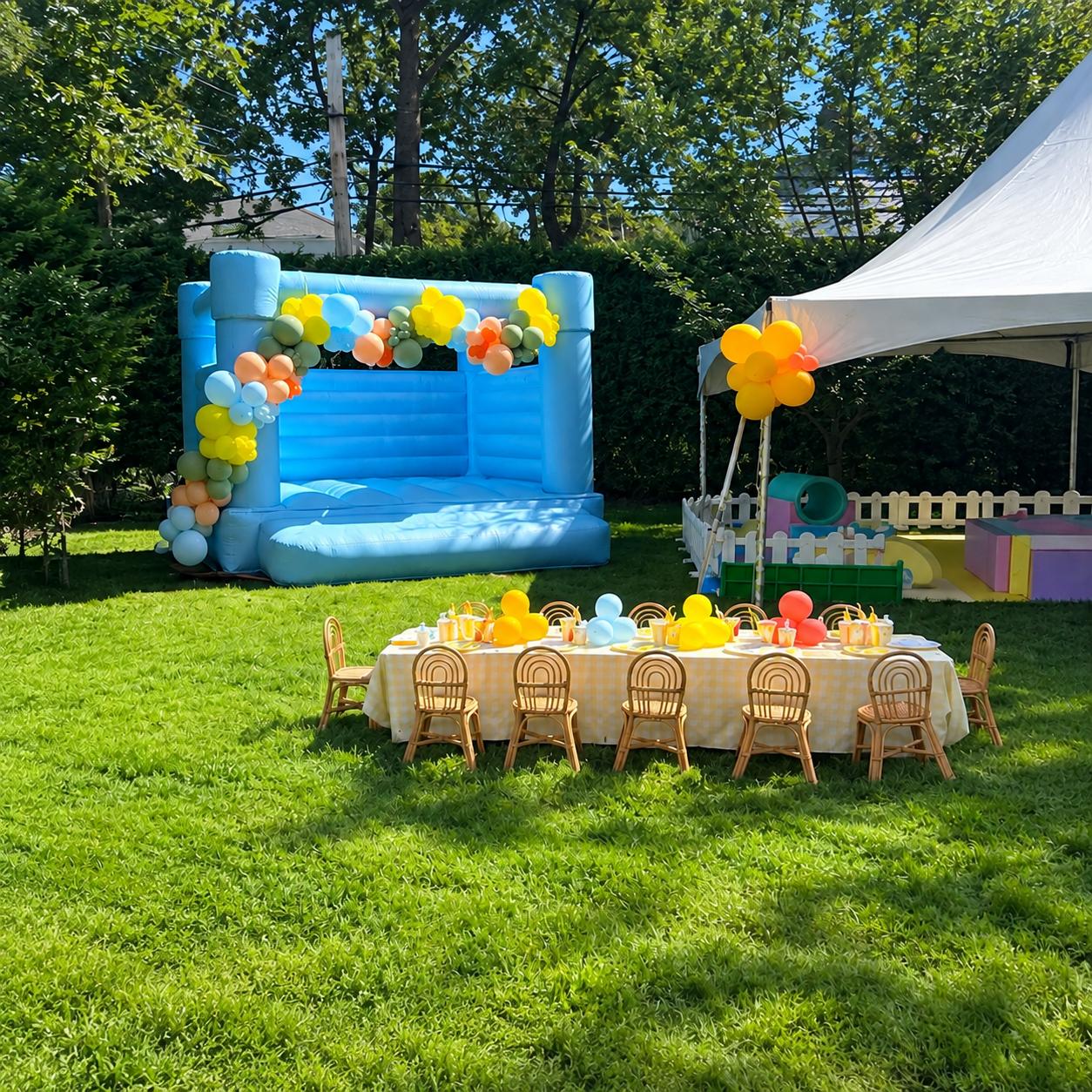 Large Frost Bounce House Bounce House rental