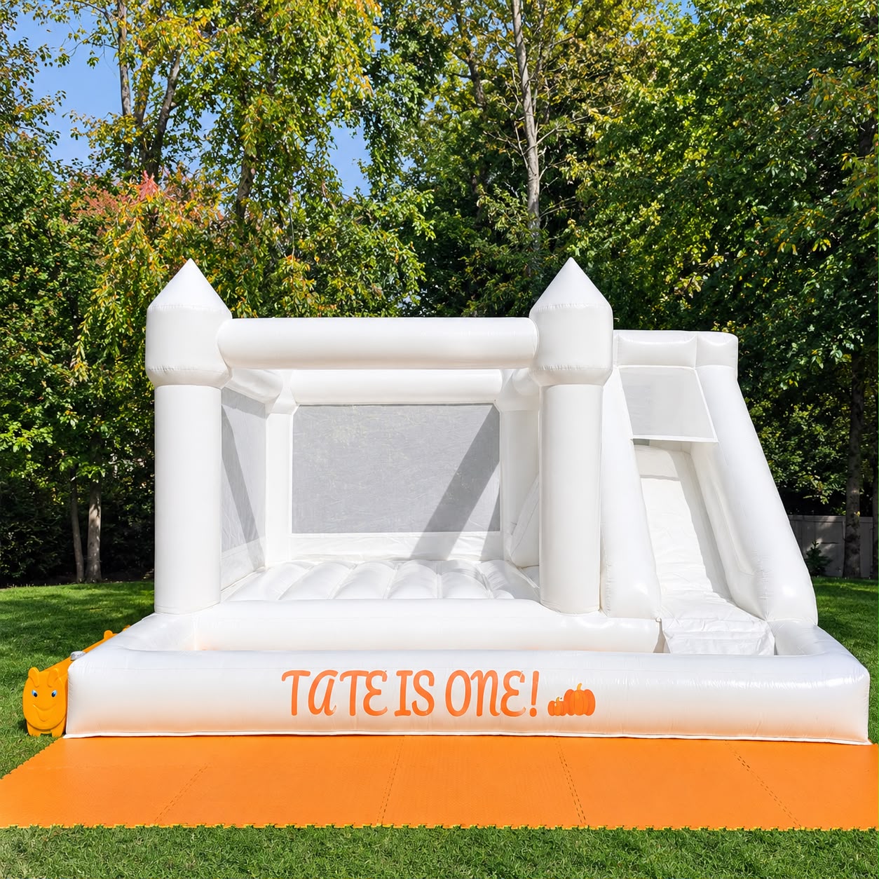 Large Snowball Bounce House Bounce House rental